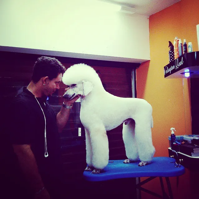 Foto profissional de Celso Alves